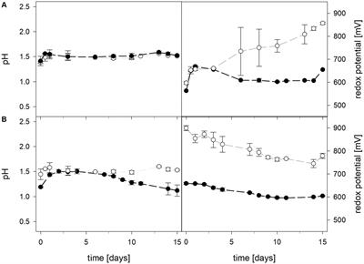 Do ferrous iron-oxidizing acidophiles (Leptospirillum spp.) disturb aerobic bioleaching of laterite ores by sulfur-oxidizing acidophiles (Acidithiobacillus spp.)?